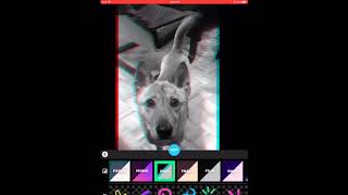 Creating a Gif using the IPad App Giphy Cam screenshot 5