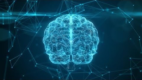 Rotating Human Brain | Motion Graphics - Videohive template