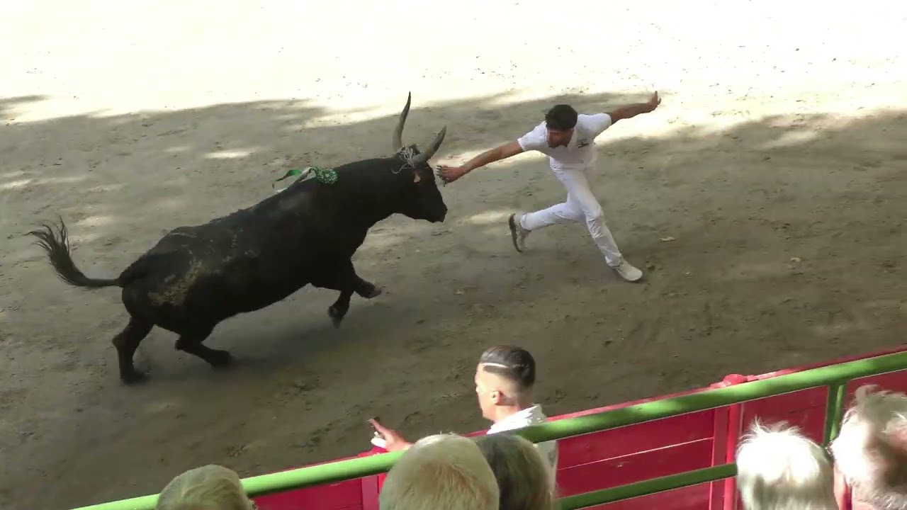 AIGUES VIVES (04/10/2025) - Le résumé de la course - Finale Trophée Honneur