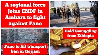 A regional force joins ENDF in the operation against Fano | Fano to lift vehicle ban |Gold smuggling