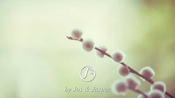 Springtime - Jos & Jasper