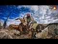 CAZA de CHIVO Gigante doblete🔥New Mexico feral goats