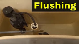 How To Fix A Weak Flushing ToiletFull Tutorial