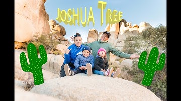 Kids rock climbing Joshua tree