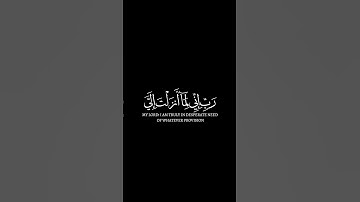 كروما شاشه سوداء قرآن كريم الخط جديد الدقة 4K سورة القصص القارئ أحمد النفيس دعاء موسى عليه السلام