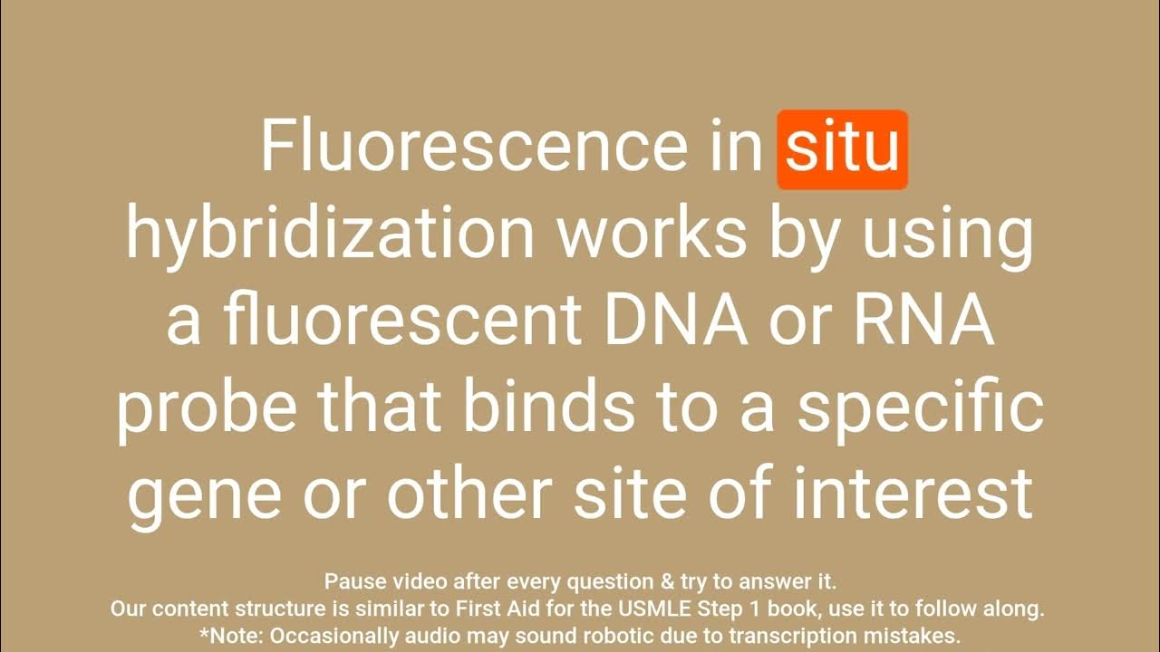 Fluorescence in situ Hybridization A Comprehensive Questions and
