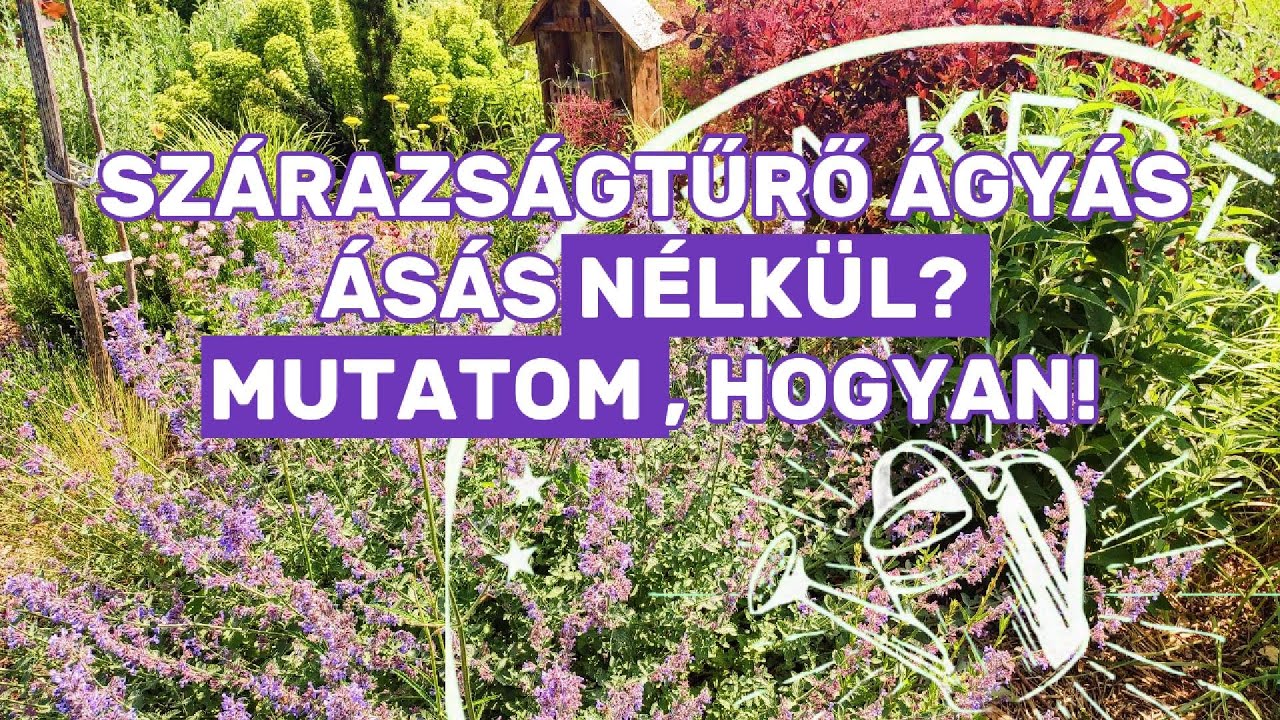 Így lesz álomszép szárazságtűrő kerted ásás nélkül — mutatom a titkom!