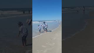 The Girls Were Happy Getting Their Feet Wet At The Beach