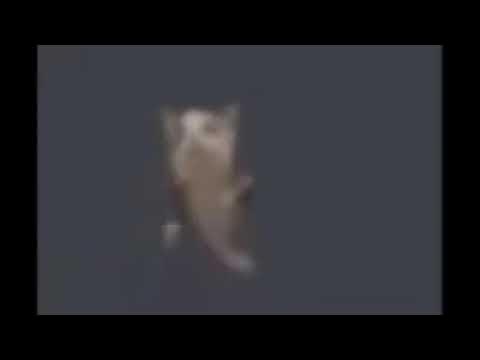 Goofy ahh low quality -Playlist - YouTube