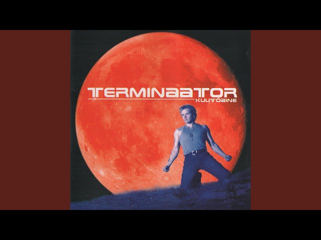 Terminaator - Vastasmaja Aknad