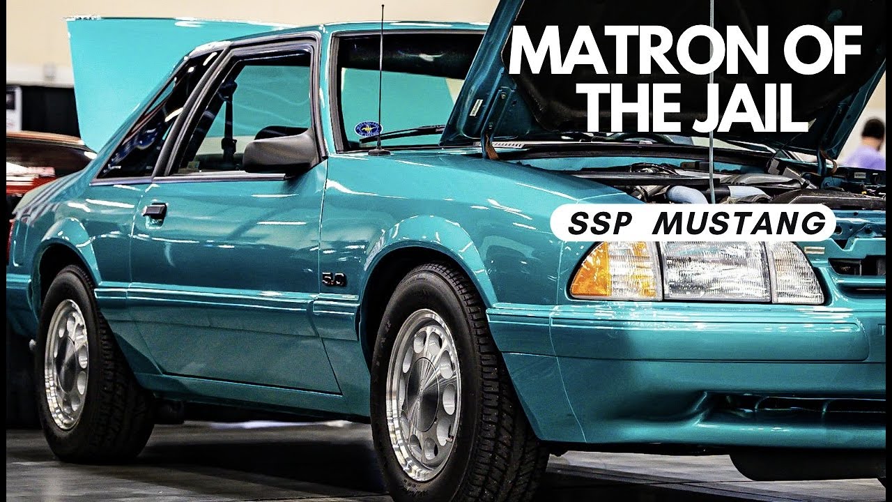 Matron of the JAIL SSP Calypso Mustang Story YouTube