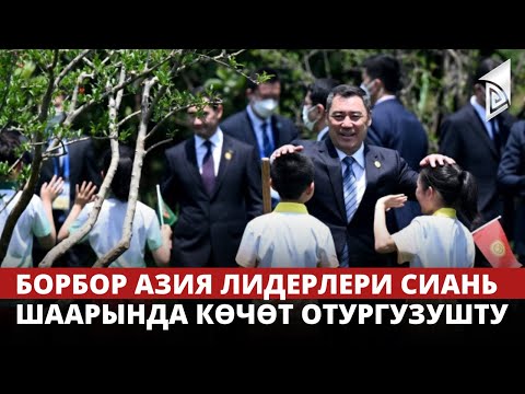 Video: Сиань шаарындагы Терракота жоокерлеринин музейине келген коноктордун гид