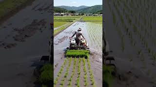Download Lagu Modern Farming Technology | Rice Planting Machine | Drone View || #farming #shorts MP3 Download Lagu Modern Farming Technology | Rice Planting Machine | Drone View || #farming #shorts MP3