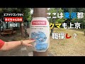 【エブリィワゴンで行く！60歳からYouTuber !! 熟年夫婦旅】 東京都の西の外れに行きました、そこは緑と水の町でした。奥多摩湖 NO.1【通勤+買い物+車中泊=簡単車中泊】