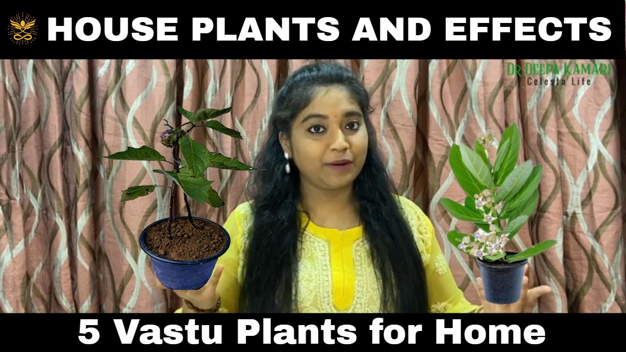 Vastu for Plants at Home in Hindi (5 Tips) by Dr.Deepa Kamari