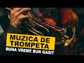 Muzica de trompeta - Buna vreme bun gasit