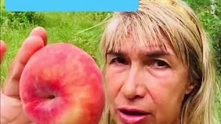 Аюрведа и питание. Секреты Индии Аюрведа и питание. Секреты Индии