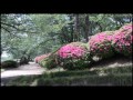 201705  岡崎晋二 作 「半田山植物園」 の動画、YouTube動画。