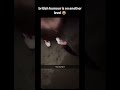 he did find it !