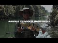 Jungle peacock bass with toughfia lures