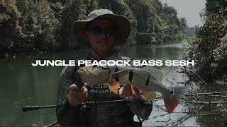 Jungle Peacock Bass With Toughfia Lures