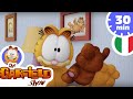 The garfield show italiano pooky dove sei  compilazione 05