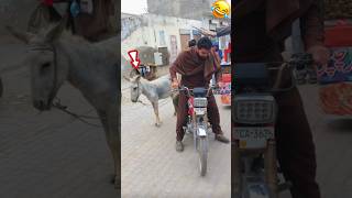 Donkey K 7 Prank Funny Video #Funny #Veryfunny #Comedy #Shortvideo #Veryveryfunny