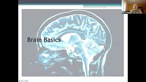 Human Brain Evolution