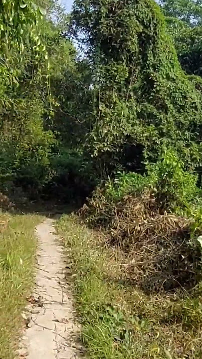 LALAN KAMPUNG MALAYSIA #desa #perkampungan