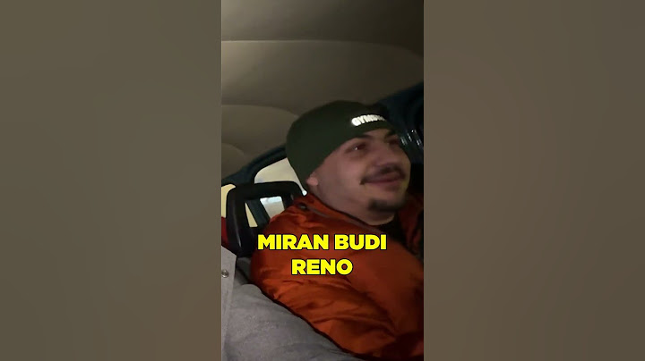 Jedan od jačih klipova ove godine 😂🐵 #automobile #renault #funny