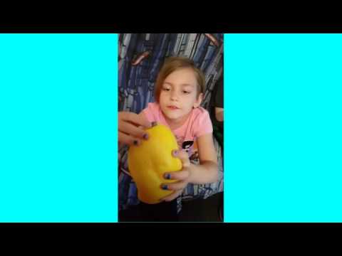 Squishies