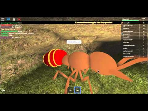 Roblox Codes Code To Be Queen On Ant Simulator Youtube - ant simulator roblox