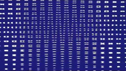 Dacia Logo 4ormulator Collection Fast X4