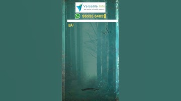 Business Card Design | Versatile Info is a Web Design | Graphic Design