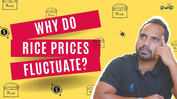 The Factors Behind Fluctuating Rice Prices Explained | यहाँ जानिए  | PWIP