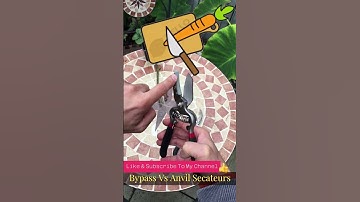 Difference between Bypass and Anvil secateurs - This Will Help You #shorts #youtube #gardening