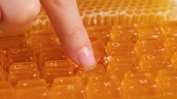 꿀 키보드 ASMR 🐝 Honey Keyboard AI ASMR