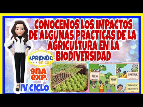 Video: Los Efectos Beneficiosos De Las Plantas. Parte 4
