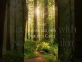 Touch the Earth – Reconnect with Nature’s Calm #positiveenergy