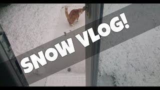 Vlog (no talking): Pixel and Nacho  Cats who like snow!