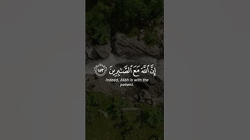 تلاوة بصوت محمد العباسي إمام الأقصى #الاقصى #قرآن #قران