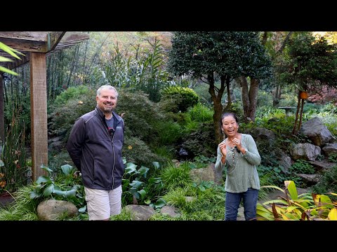 Video: Takáto dôležitá záhradná lavička