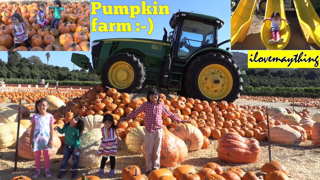 GIANT Pumpkins in a Pumpkin Farm! Kids' Playground, Kiddie Slides and