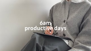 study vlog | 입에 거미줄 치는 삶 | 아침운동, 집공루틴 | productive days