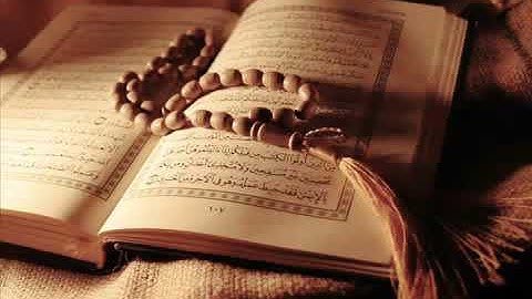 ماهر المعيقلي سورة النساء الصفحة (83)