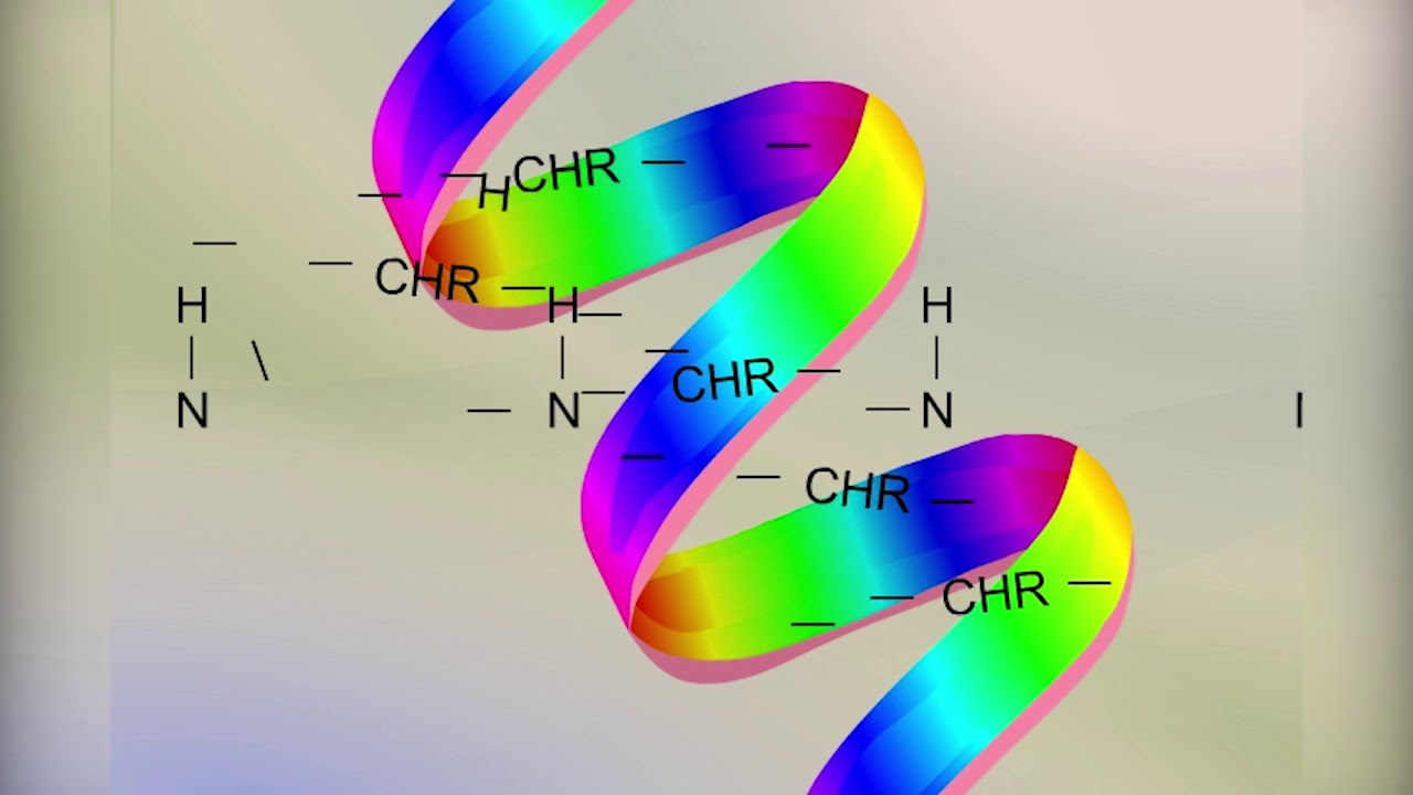 Белки как природные биополимеры - YouTube