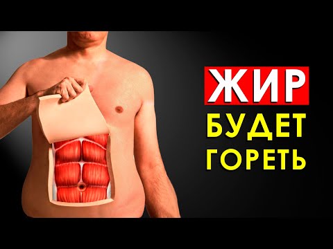 Что Такое Сушка Тела? Как Эффективно Сжигать Подкожный Жир?