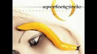 07. The Outsider - A Perfect Circle