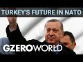 Erdoğan, NATO &amp; why Turkey&#39;s presidential election matters | GZERO World