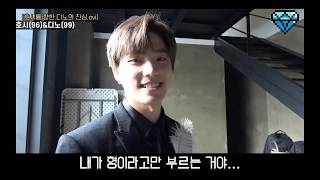 [세븐틴](eng)멤버 13명이 동갑인 아이돌: 반말틴(SVT 13 members are the same age)